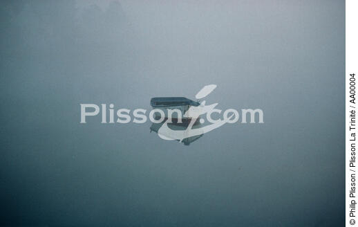 Petit matin. Plate dans le Golfe du Morbihan par petit matin brumeux. - © Philip Plisson / Plisson La Trinité / AA00004 - Nos reportages photos - Bateau
