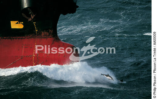 Dauphin Pilote en Mer d'Iroise (Finistère) - © Philip Plisson / Plisson La Trinité / AA00009 - Nos reportages photos - Elément d'un bateau