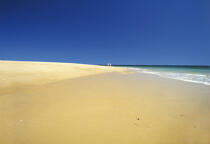 The vast beach of Houat. © Philip Plisson / Plisson La Trinité / AA00023 - Photo Galleries - Ground shot