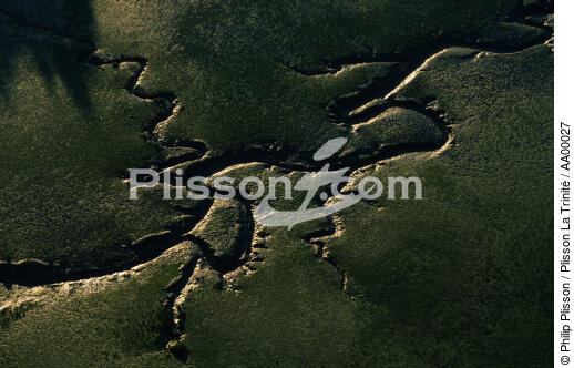 Lorsque la mer se retire à Saint-Philibert. - © Philip Plisson / Plisson La Trinité / AA00027 - Photo Galleries - Saint-Philibert