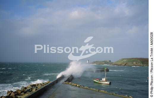 Port du Conquet. - © Philip Plisson / Plisson La Trinité / AA00028 - Photo Galleries - Pier