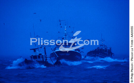 Retour de pêche au Guilvinec (Finistère, 29) - © Philip Plisson / Plisson La Trinité / AA00055 - Photo Galleries - Environment