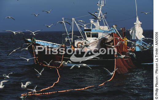 Pêche à la sardine. - © Philip Plisson / Plisson La Trinité / AA00056 - Nos reportages photos - Chalutier