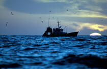bateau de pêche du Guivinec (Finistère, 29) © Philip Plisson / Plisson La Trinité / AA00057 - Nos reportages photos - Astre