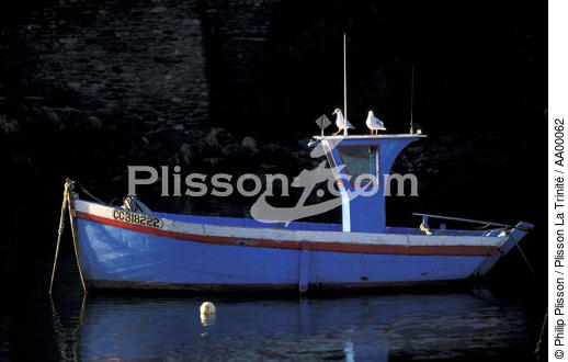 Petit canot de pêche au mouillage à Doëlan sur mer (Finsitère, 29) - © Philip Plisson / Plisson La Trinité / AA00062 - Photo Galleries - Nautical terms