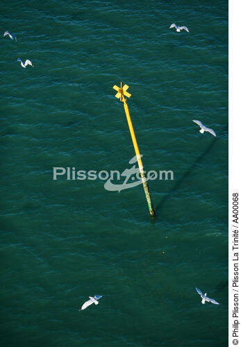 Perche dans l'embouchure de la Vilaine. - © Philip Plisson / Plisson La Trinité / AA00068 - Nos reportages photos - Mer calme