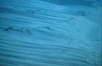 La dune du Pilat. © Philip Plisson / Plisson La Trinité / AA00088 - Nos reportages photos - Paysage littoral
