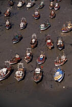 Des bateaux de pêche échoués à marée basse à Erquy. © Philip Plisson / Plisson La Trinité / AA00101 - Nos reportages photos - Mouillage