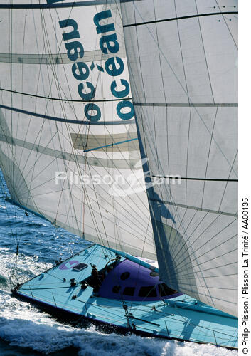 Groupe LG / Gerry Roof. - © Philip Plisson / Plisson La Trinité / AA00135 - Nos reportages photos - Terme marin