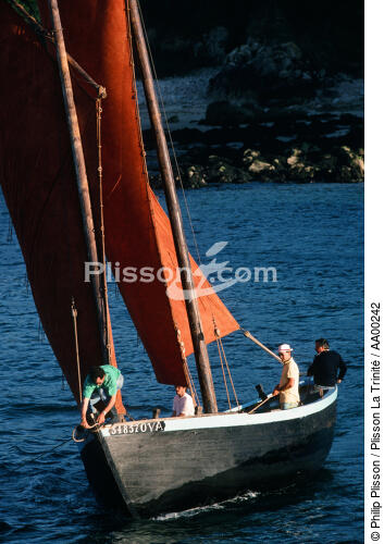 Sinago dans le Golfe du Morbihan. - © Philip Plisson / Plisson La Trinité / AA00242 - Photo Galleries - Boat