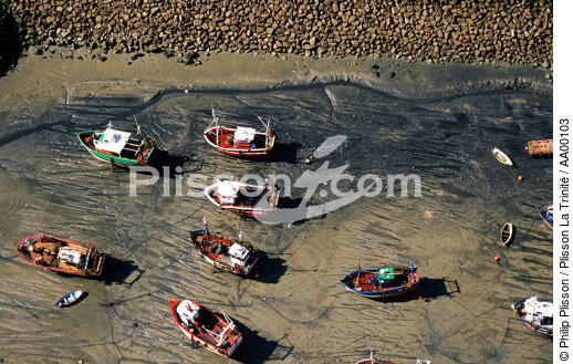 Des bateaux de pêches posés sur le sable le long de la grêve. - © Philip Plisson / Plisson La Trinité / AA00103 - Nos reportages photos - Terme marin