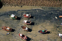 Des bateaux de pêches posés sur le sable le long de la grêve. © Philip Plisson / Plisson La Trinité / AA00103 - Nos reportages photos - Vue aérienne