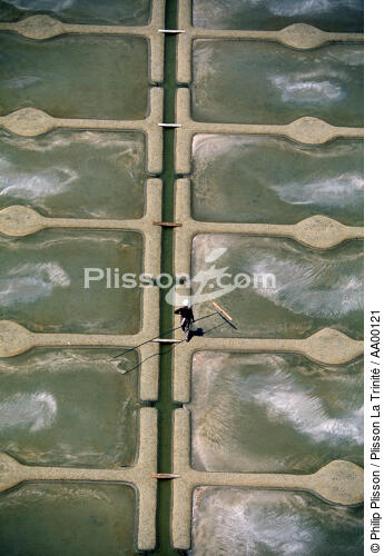 Marais salants de Guérande. - © Philip Plisson / Plisson La Trinité / AA00121 - Nos reportages photos - Homme