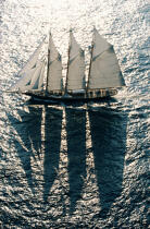 le Shenandoah en contre-jour . © Guillaume Plisson / Plisson La Trinité / AA00146 - Photo Galleries - Three-masted schooner