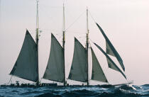 Le Shenandoah en contre jour . © Philip Plisson / Plisson La Trinité / AA00159 - Photo Galleries - Three-masted schooner