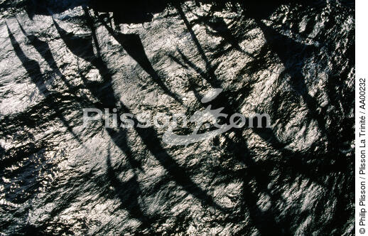 Ombres des voiles du Belem dans l'eau. - © Philip Plisson / Plisson La Trinité / AA00232 - Nos reportages photos - Géomorphie