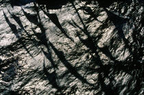 Ombres des voiles du Belem dans l'eau. © Philip Plisson / Plisson La Trinité / AA00232 - Nos reportages photos - Environnement