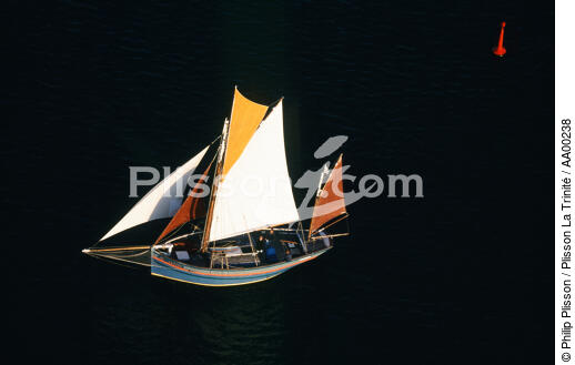 Langoustier rentrant au port en fin de journée. - © Philip Plisson / Plisson La Trinité / AA00238 - Photo Galleries - Aerial shot