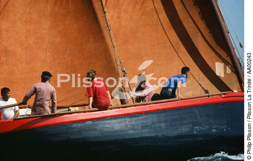 Sinago et son équipage dans le Golfe du Morbihan. - © Philip Plisson / Plisson La Trinité / AA00243 - Nos reportages photos - Monocoque