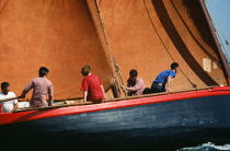 Sinago et son équipage dans le Golfe du Morbihan. © Philip Plisson / Plisson La Trinité / AA00243 - Nos reportages photos - Personnage