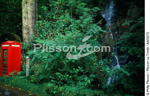 Cabine téléphonique en lisière de forêt (Ecosse). - © Philip Plisson / Plisson La Trinité / AA00272 - Nos reportages photos - Ile [Eco]