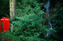 Cabine téléphonique en lisière de forêt (Ecosse). © Philip Plisson / Plisson La Trinité / AA00272 - Photo Galleries - Interior landscape