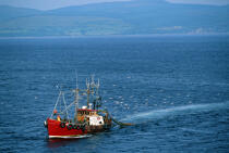 Chalutier rouge © Guillaume Plisson / Plisson La Trinité / AA00283 - Photo Galleries - Fishing vessel