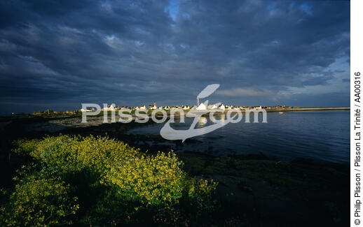 Le port de sein avec des ajoncs en pemier plan. - © Philip Plisson / Plisson La Trinité / AA00316 - Nos reportages photos - Port