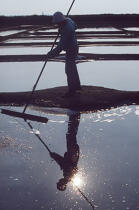 Paludier ramassant le sel. © Philip Plisson / Plisson La Trinité / AA00422 - Nos reportages photos - Personnage