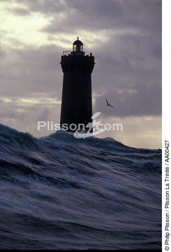 Tapi derrière un rocher, face au phare du Four, j'ai vu déferler cette vague de 15 mètre de haut dont le fou de Bassan semblait se griser. - © Philip Plisson / Plisson La Trinité / AA00427 - Nos reportages photos - Phare [29]