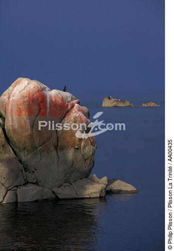 Amer à la pointe de Roscoff. - © Philip Plisson / Plisson La Trinité / AA00435 - Nos reportages photos - Paysage littoral