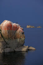 Amer à la pointe de Roscoff. © Philip Plisson / Plisson La Trinité / AA00435 - Photo Galleries - Maritime activity