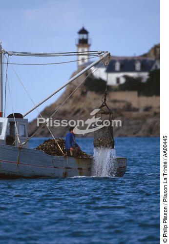 Ostréiculteur en drague dans la baie de Morlaix. - © Philip Plisson / Plisson La Trinité / AA00445 - Nos reportages photos - Finistère