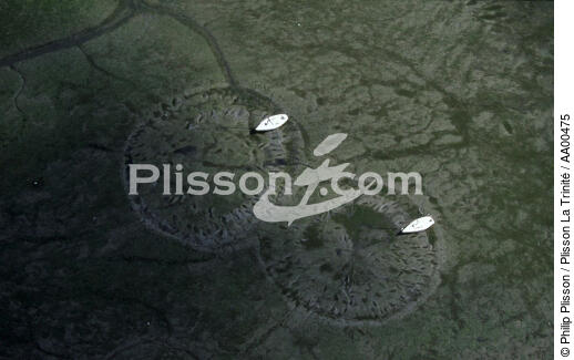 Empreintes sur le Golfe du Morbihan. - © Philip Plisson / Plisson La Trinité / AA00475 - Nos reportages photos - Environnement