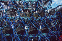 casiers à crustacés. © Philip Plisson / Plisson La Trinité / AA00494 - Photo Galleries - Lobster pot