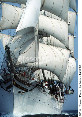 Le Statsraad Lehmkulh, bateau de croisière et navire école. - © Philip Plisson / Plisson La Trinité / AA00503 - Nos reportages photos - Vertical