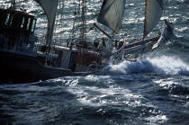 Swann Fan Makkum dans une mer agitée. © Philip Plisson / Plisson La Trinité / AA00507 - Nos reportages photos - Elément d'un bateau