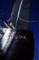 THorne, l'annexe du HMS Rose. © Philip Plisson / Plisson La Trinité / AA00510 - Photo Galleries - Monohull
