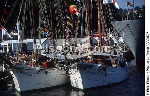 L'Etoile et la Belle Poule pendant l'Armada de Rouen. - © Philip Plisson / Plisson La Trinité / AA00527 - Nos reportages photos - Port