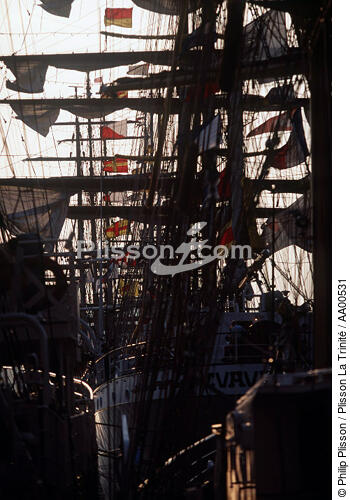 Le Cuauhtemoc à quai, pendant l'Armada. - © Philip Plisson / Plisson La Trinité / AA00531 - Nos reportages photos - Trois-mâts