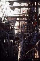 Le Cuauhtemoc pendant l'Armada de Rouen. © Philip Plisson / Plisson La Trinité / AA00537 - Nos reportages photos - Environnement