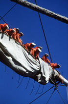 Marins en train de ferler les voiles. © Philip Plisson / Plisson La Trinité / AA00544 - Nos reportages photos - Environnement