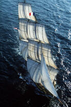 Le HMS Rose sous voiles. © Guillaume Plisson / Plisson La Trinité / AA00545 - Photo Galleries - Boat