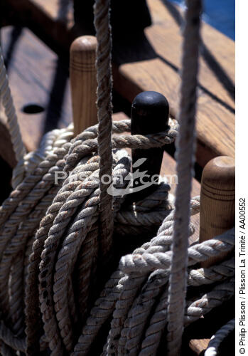 Noeud marin sur le HMS Rose. - © Philip Plisson / Plisson La Trinité / AA00552 - Photo Galleries - Ropes and rigging