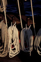 Cordages sur le HMS Rose. © Philip Plisson / Plisson La Trinité / AA00553 - Photo Galleries - Boat