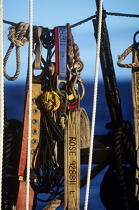 Harnais sur le HMS Rose. © Philip Plisson / Plisson La Trinité / AA00554 - Photo Galleries - Boat