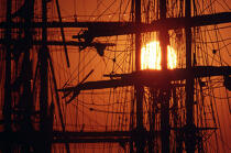 Coucher de soleil sur la mâture du HMS Rose. © Philip Plisson / Plisson La Trinité / AA00560 - Photo Galleries - Three-masted frigate