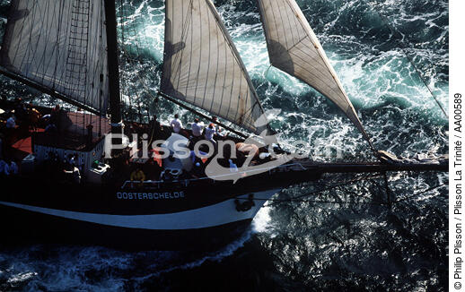 Proue de l'Oosterschelde. - © Philip Plisson / Plisson La Trinité / AA00589 - Photo Galleries - Three-masted schooner with topsails