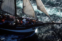 Proue de l'Oosterschelde. © Philip Plisson / Plisson La Trinité / AA00589 - Nos reportages photos - Les Grands voiliers