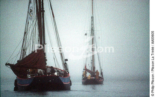 Bateau de pêche sortant de Port Rhu. - © Philip Plisson / Plisson La Trinité / AA00605 - Photo Galleries - Sailor